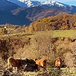 Lodge Independante Au Bella Rosa Argein